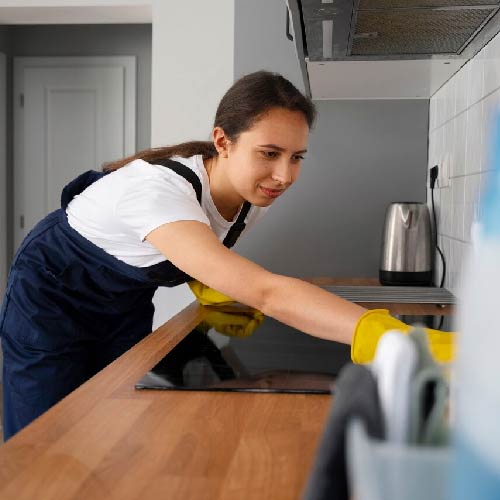 servicios-domesticos_Mesa-de-trabajo-1-1 Servicio de limpieza