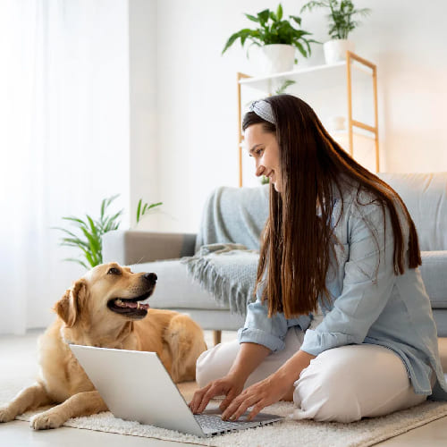 cuidado mascotas Servicio de Cuidado mascotas a domicilio
